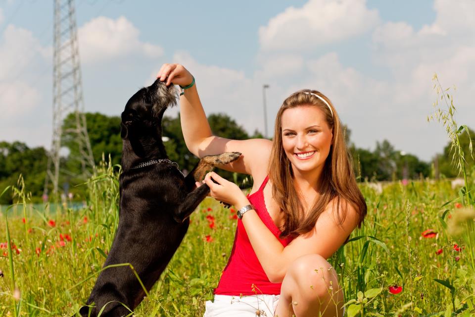 Frau spielt mit Hund auf Wiese.