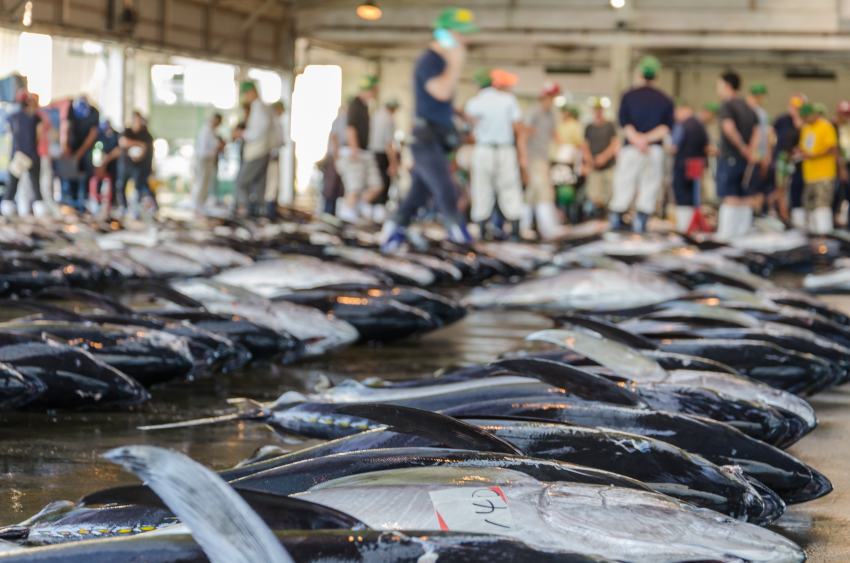 Grossmarkt Fischmarkt