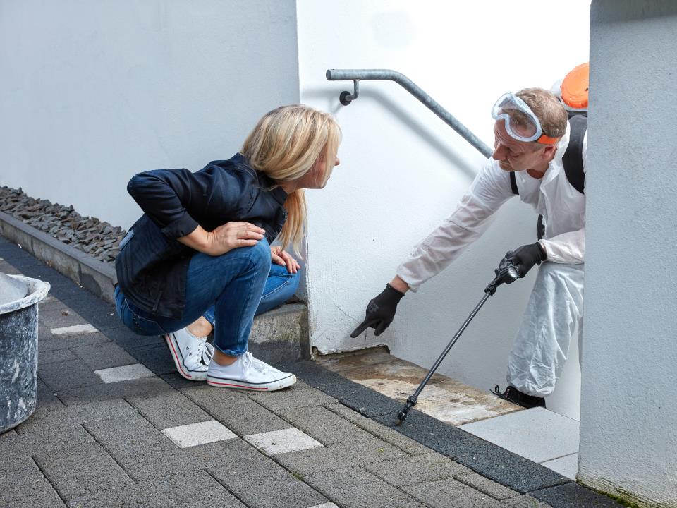 Kammerjäger mit Kundin im Gespräch