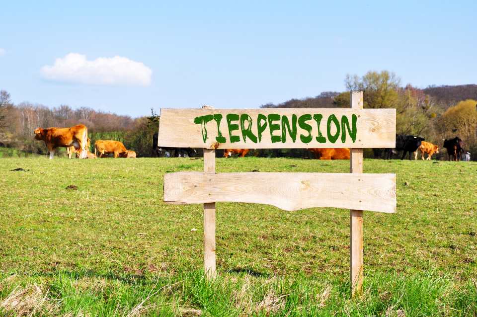 Holzschild mit Aufschrift Tierpension